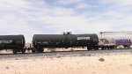 WB Manifest Frt @ Erie NV -25